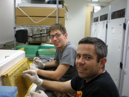 Vince and Eli work frames